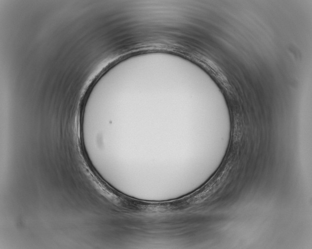 X0000110900796200907091415