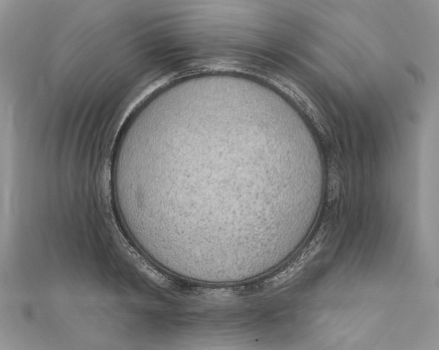 X0000110900798200907091415