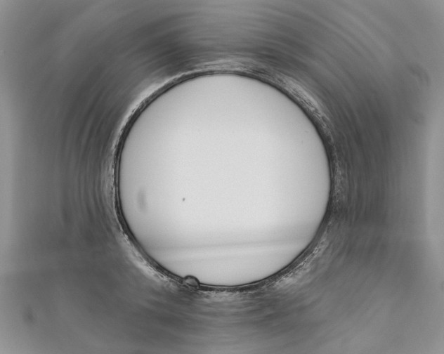 X0000110900800200907091415