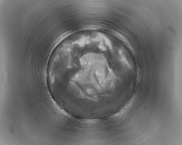 X0000110900802200907091415