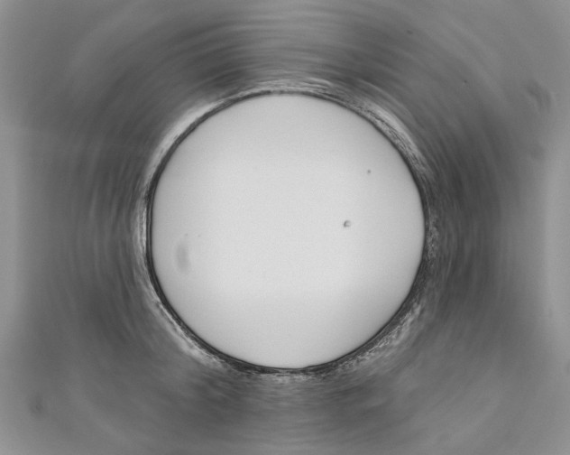 X0000110900804200907091415