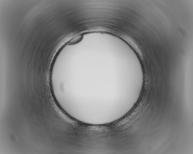 X0000110900805200907091415