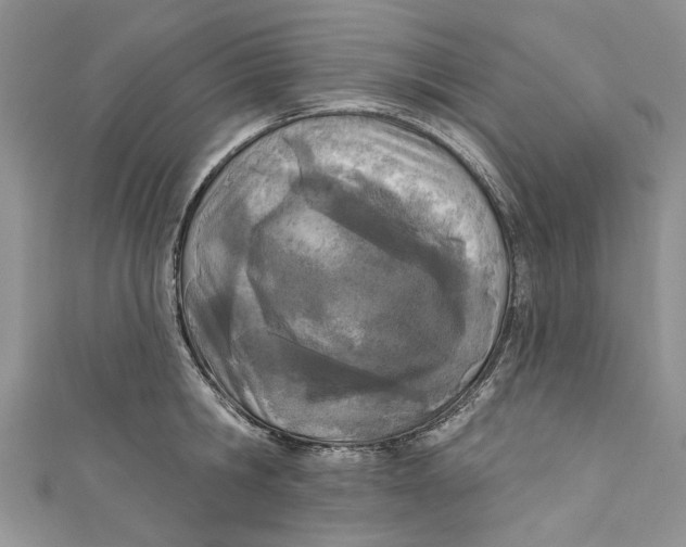 X0000110900806200907091414