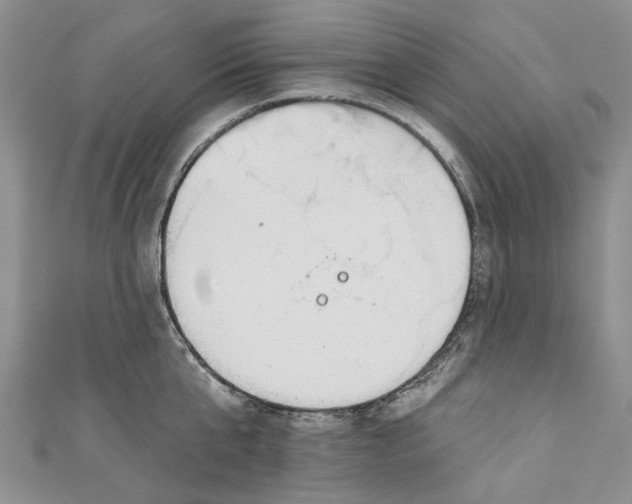 X0000110900807200907091414