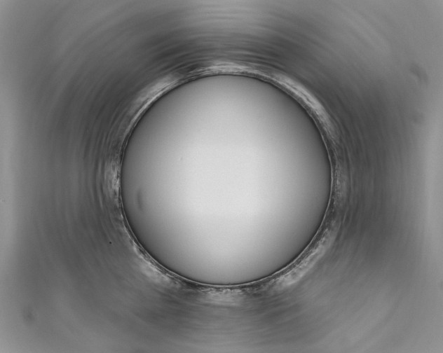 X0000110900809200907091414