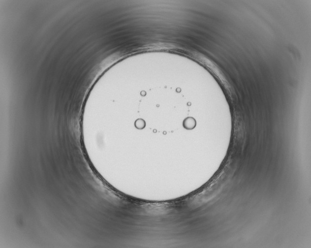 X0000110900810200907091414