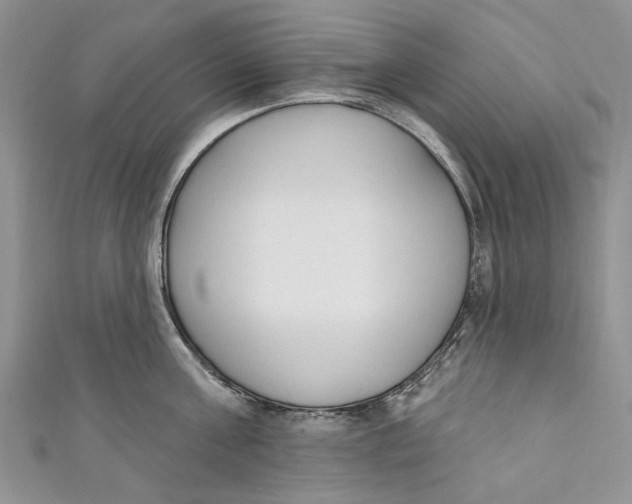 X0000110900811200907091414