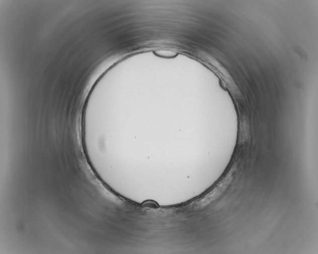 X0000110900812200907091414