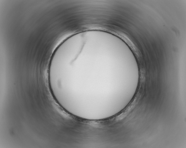 X0000110900814200907091414