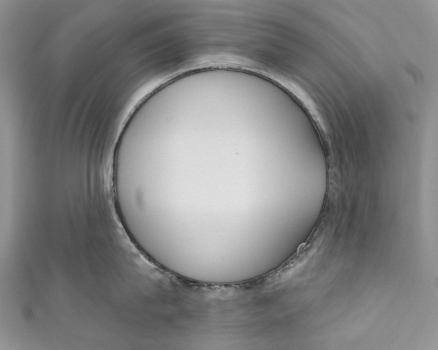 X0000110900815200907091414