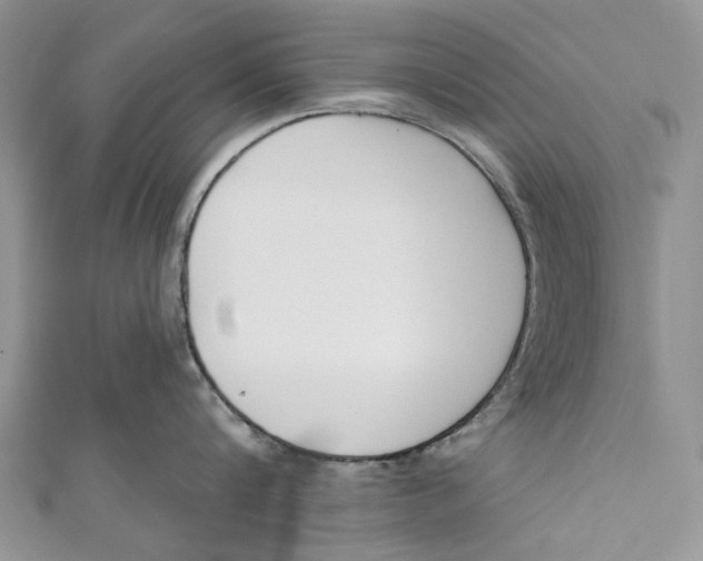 X0000110900816200907091414