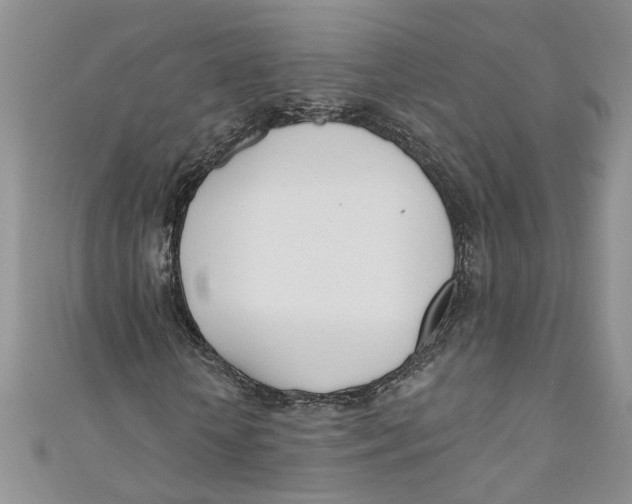 X0000110900818200907091414