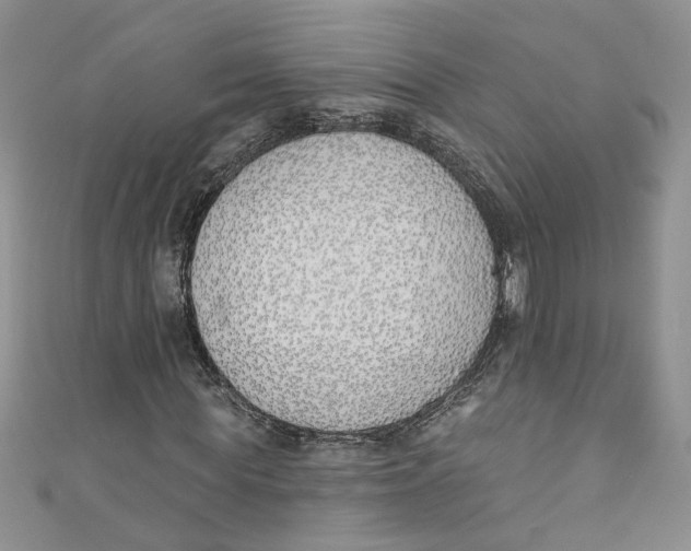 X0000110900819200907091414