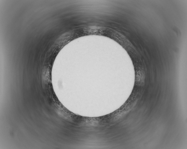 X0000110900820200907091414