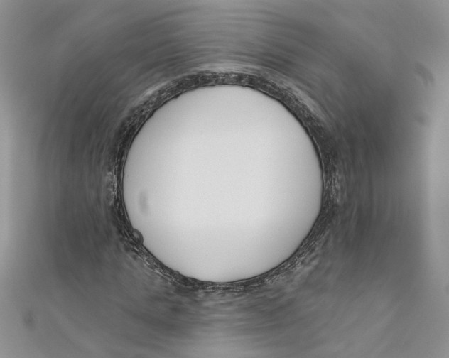 X0000110900821200907091414