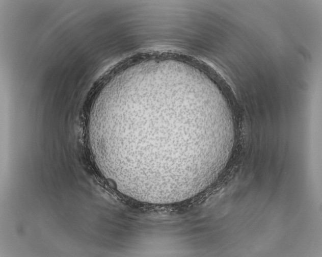 X0000110900823200907091414