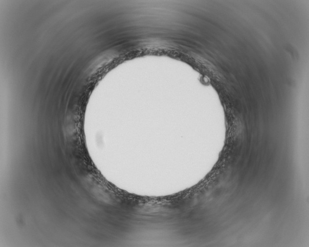 X0000110900824200907091414