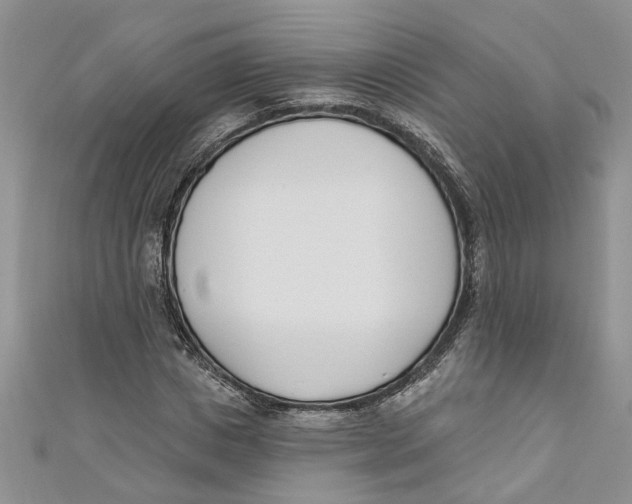 X0000110900825200907091414