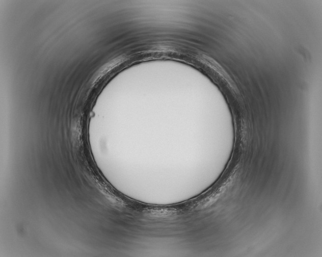 X0000110900826200907091414