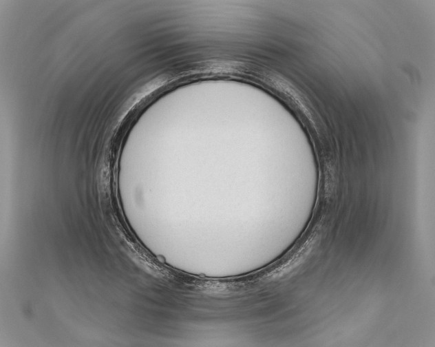 X0000110900827200907091414