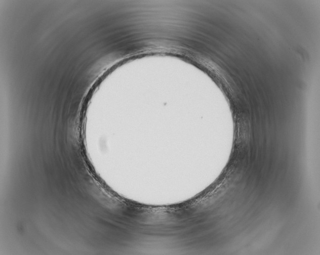 X0000110900828200907091414