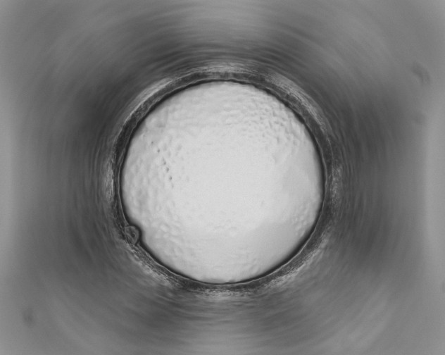 X0000110900829200907091414