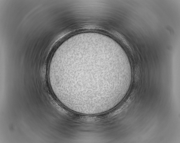 X0000110900831200907091414