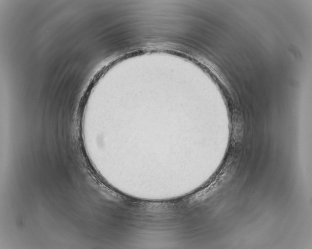 X0000110900832200907091414