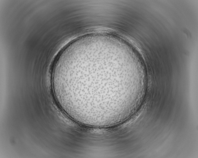 X0000110900835200907091414