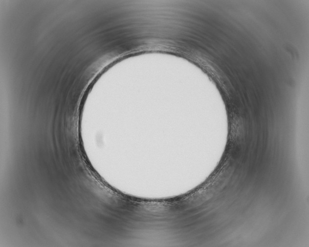 X0000110900836200907091414