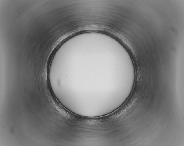 X0000110900837200907091414