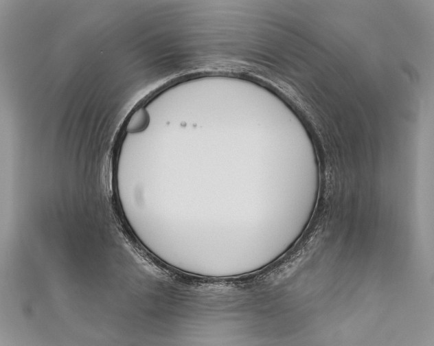 X0000110900838200907091414