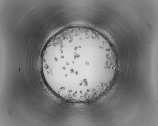 X0000110900839200907091414