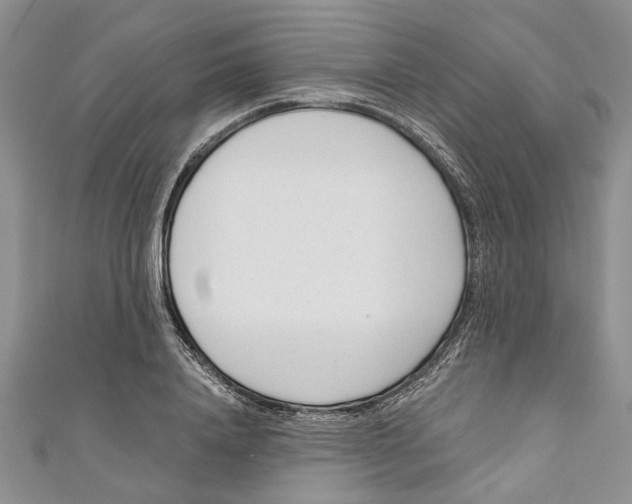 X0000110900840200907091414