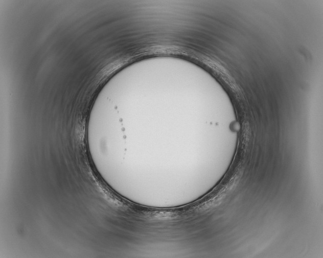 X0000110900841200907091414