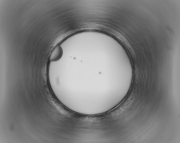 X0000110900842200907091414