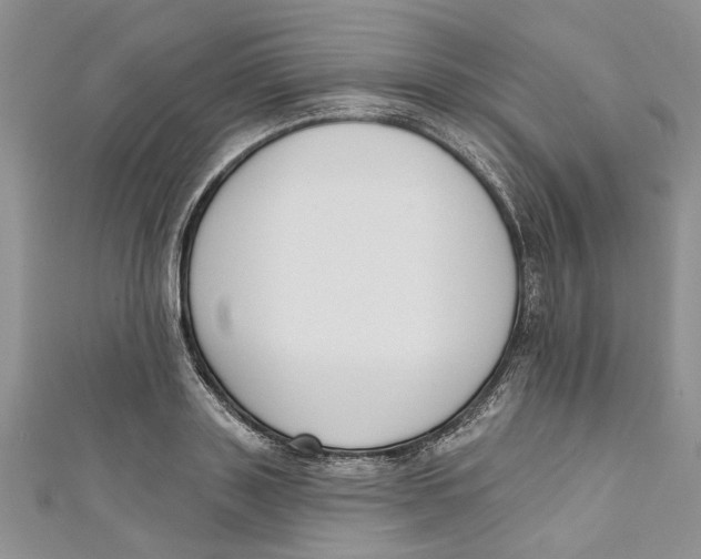 X0000110900843200907091414