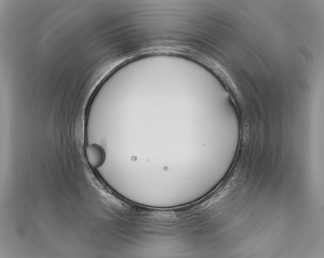 X0000110900844200907091414