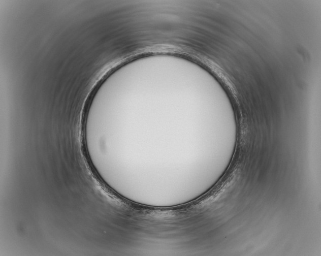 X0000110900845200907091414