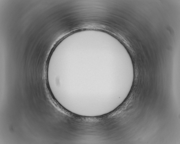 X0000110900848200907091414