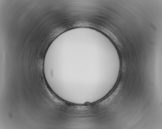 X0000110900849200907091414