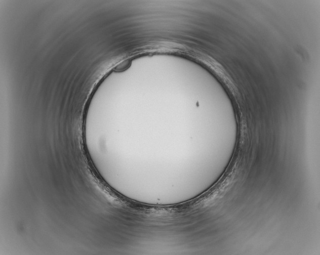 X0000110900850200907091414