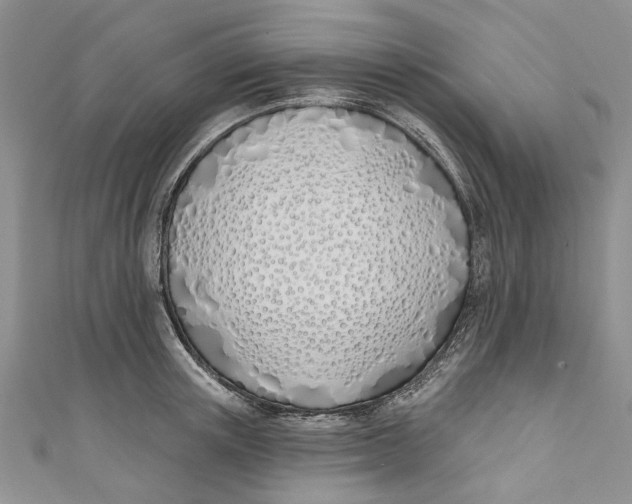 X0000110900851200907091414