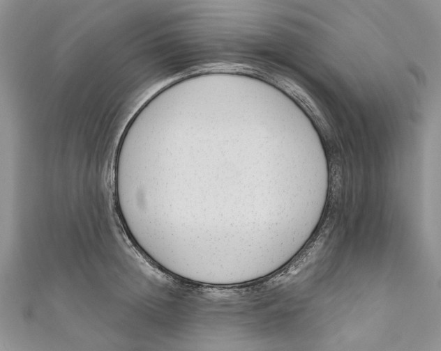 X0000110900852200907091414