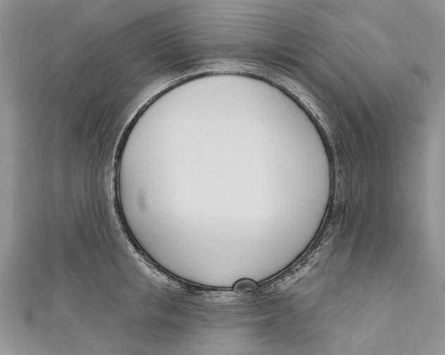 X0000110900853200907091414