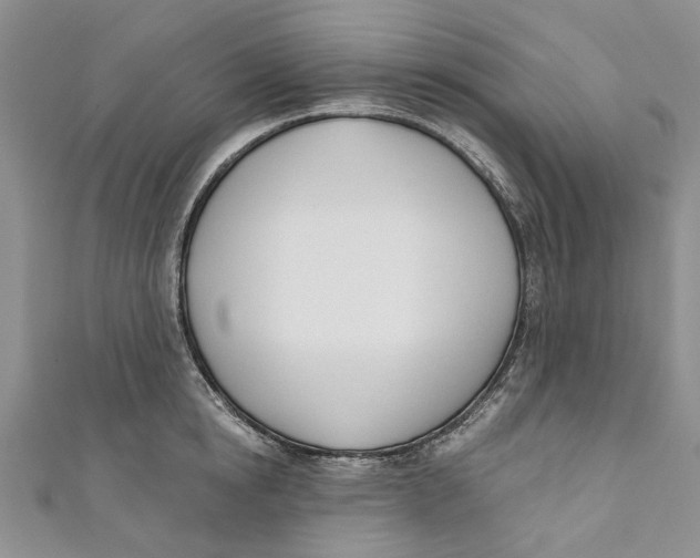 X0000110900854200907091414