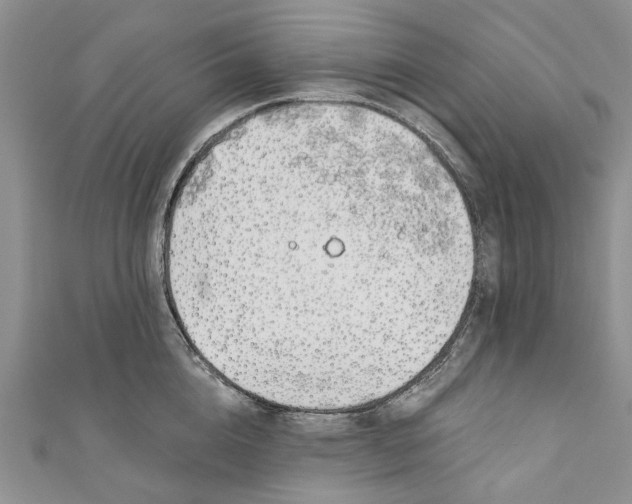 X0000110900856200907091414