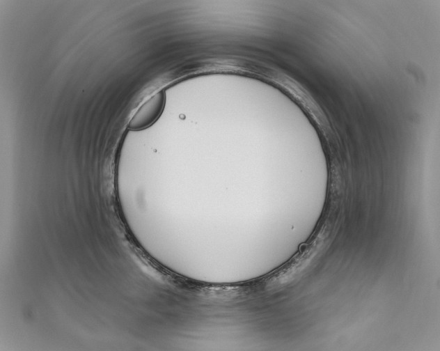 X0000110900858200907091414