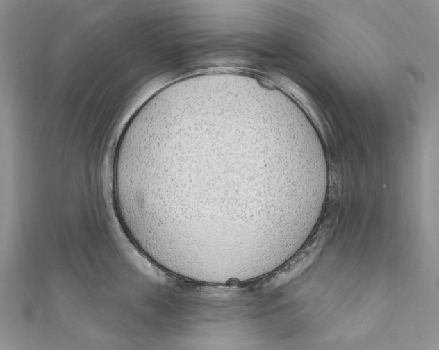 X0000110900859200907091414