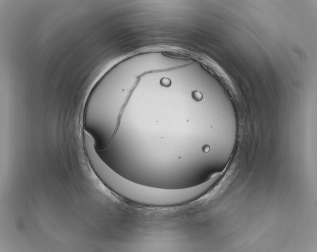 X0000110900860200907091414